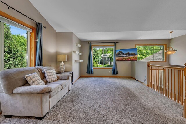 2821 15th Ave S, Saint Cloud, MN 56301 - carpeted living room featuring baseboards