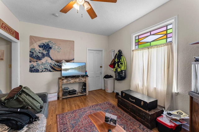 208 2nd St SW, Braham, MN 55006 - living room featuring ceiling fan, light wood-style floors, and a textured ceiling