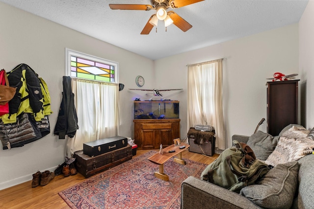 208 2nd St SW, Braham, MN 55006 - living room with ceiling fan, wood finished floors, and baseboards