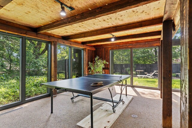 179 Little Canada Rd E Unit 230, Little Canada, MN 55117 - rec room with carpet flooring, track lighting, and wooden ceiling with exposed beams