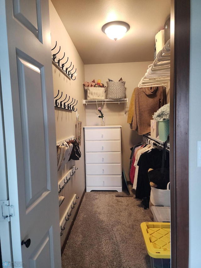 1743 46th Ave S, Moorhead, MN 56560 - spacious closet with carpet