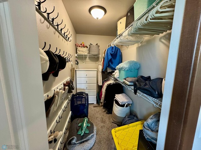 1743 46th Ave S, Moorhead, MN 56560 - walk in closet with carpet floors