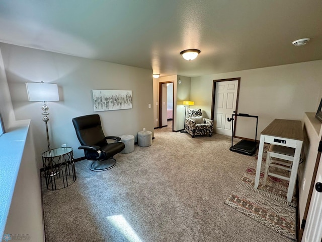 1743 46th Ave S, Moorhead, MN 56560 - sitting room with carpet floors
