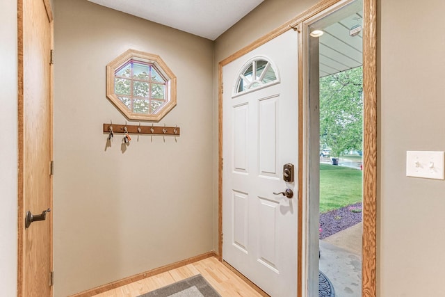 38 Jefferson Ct, Hastings, MN 55033 - entrance foyer with light wood-style flooring and baseboards