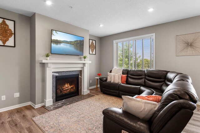 14834 Willemite Way NW, Ramsey, MN 55303 - living room with wood finished floors, a premium fireplace, recessed lighting, and baseboards