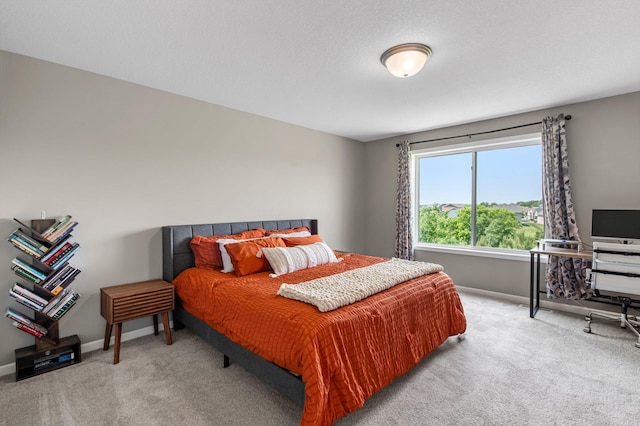 14834 Willemite Way NW, Ramsey, MN 55303 - bedroom featuring light carpet and baseboards
