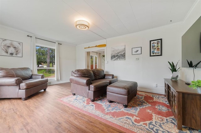 2508 Springvale Rd, Duluth, MN 55811 - living room with ornamental molding, wood finished floors, and baseboards