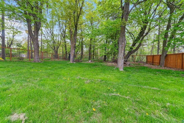 2508 Springvale Rd, Duluth, MN 55811 - view of yard