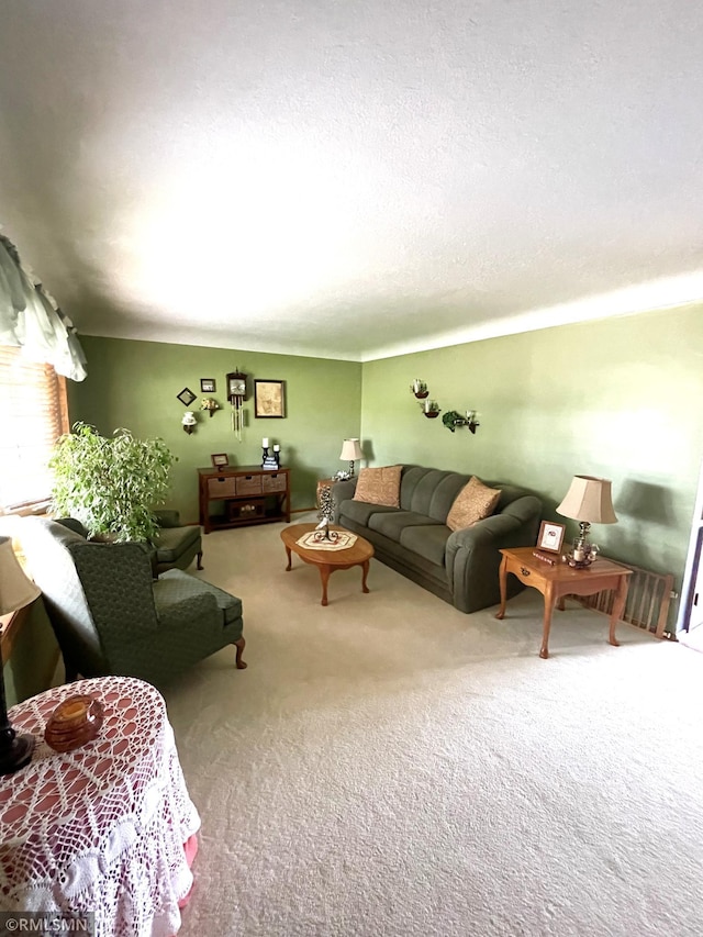 705 Turril St, Le Sueur, MN 56058 - living area featuring carpet flooring and a textured ceiling