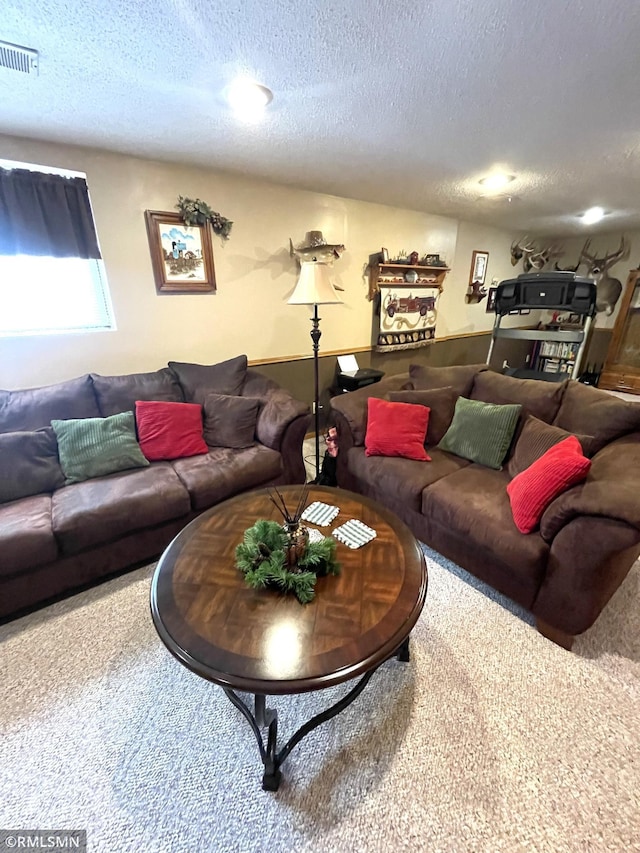 705 Turril St, Le Sueur, MN 56058 - carpeted living room featuring a textured ceiling
