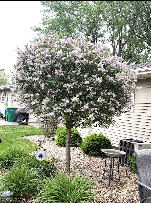 705 Turril St, Le Sueur, MN 56058 - view of yard featuring cooling unit