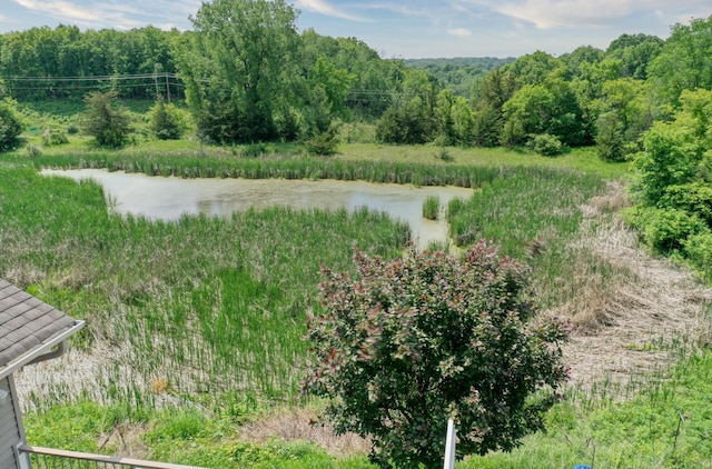 735 Highview Ct, Saint Croix Falls, WI 54024 - water view featuring a heavily wooded area