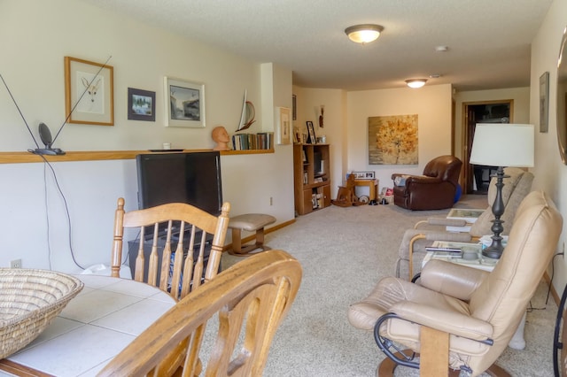 735 Highview Ct, Saint Croix Falls, WI 54024 - living room featuring carpet