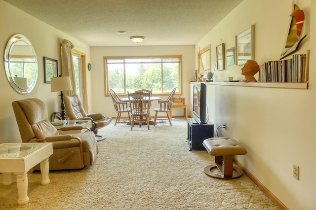 735 Highview Ct, Saint Croix Falls, WI 54024 - living room with carpet flooring and a textured ceiling