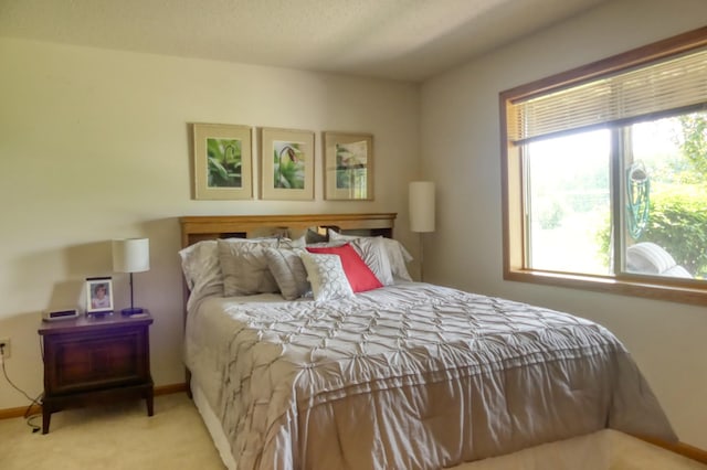 735 Highview Ct, Saint Croix Falls, WI 54024 - carpeted bedroom featuring baseboards