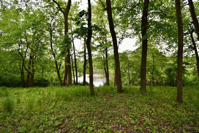 2645 Riverside Ln NE, Rochester, MN 55906 - view of tree filled area