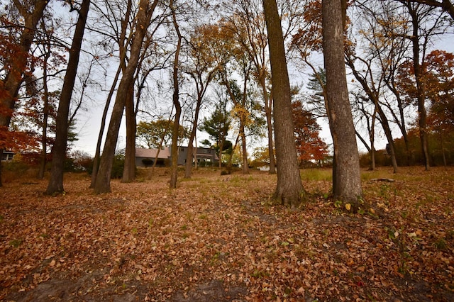2645 Riverside Ln NE, Rochester, MN 55906 - view of yard