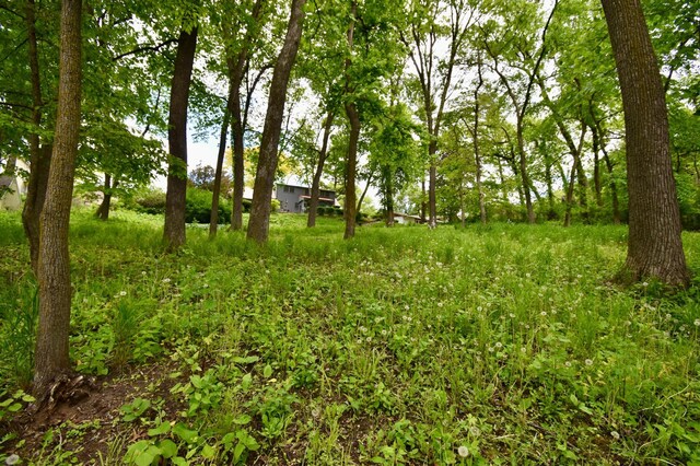 2645 Riverside Ln NE, Rochester, MN 55906 - view of yard