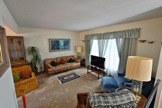 27681 Moser Dr, Jackson Twp, WI 54893 - living area with carpet and a textured ceiling