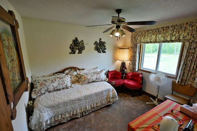 27681 Moser Dr, Jackson Twp, WI 54893 - carpeted bedroom with a textured ceiling and ceiling fan