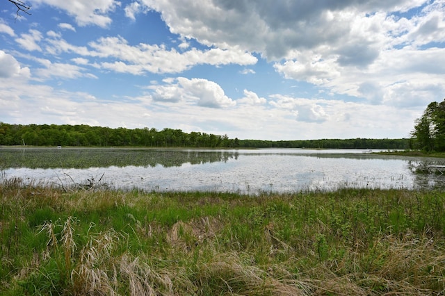 27681 Moser Dr, Jackson Twp, WI 54893 - water view featuring a heavily wooded area