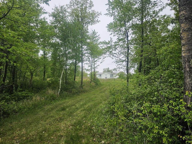 27681 Moser Dr, Jackson Twp, WI 54893 - view of nature