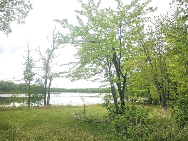27681 Moser Dr, Jackson Twp, WI 54893 - water view
