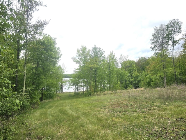 27681 Moser Dr, Jackson Twp, WI 54893 - view of local wilderness