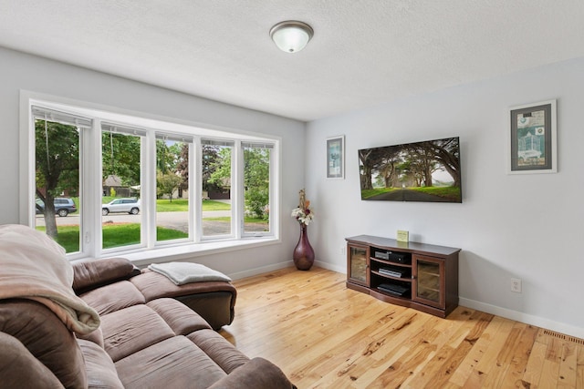 265 107th Ln NW, Coon Rapids, MN 55448 - living room with baseboards, hardwood / wood-style floors, and a textured ceiling