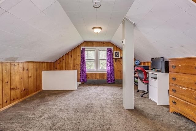 1167 Geranium Ave E, Saint Paul, MN 55106 - bonus room featuring carpet floors, lofted ceiling, and wooden walls