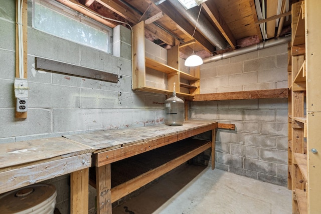 6540 Zealand Ave N, Brooklyn Park, MN 55428 - below grade area with a workshop area