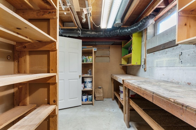 6540 Zealand Ave N, Brooklyn Park, MN 55428 - view of storage