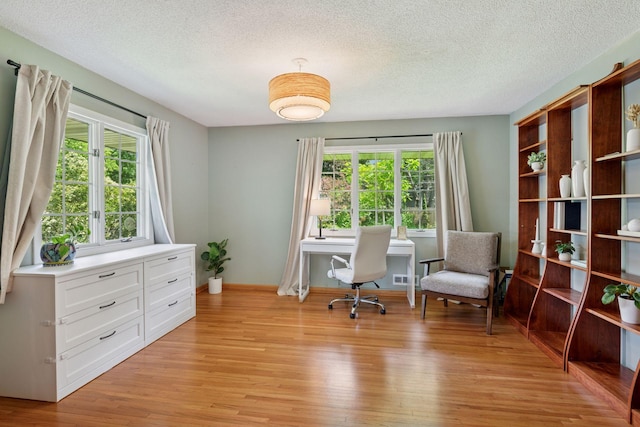 10933 Chowen Ave S, Bloomington, MN 55431 - office featuring light wood-type flooring, plenty of natural light, a textured ceiling, and baseboards
