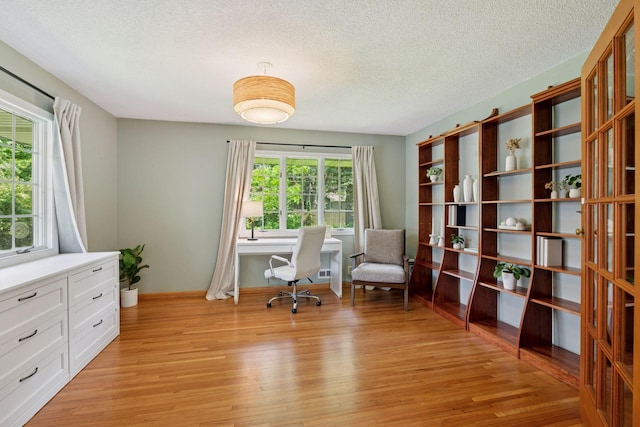 10933 Chowen Ave S, Bloomington, MN 55431 - office featuring light wood-type flooring, baseboards, and a textured ceiling
