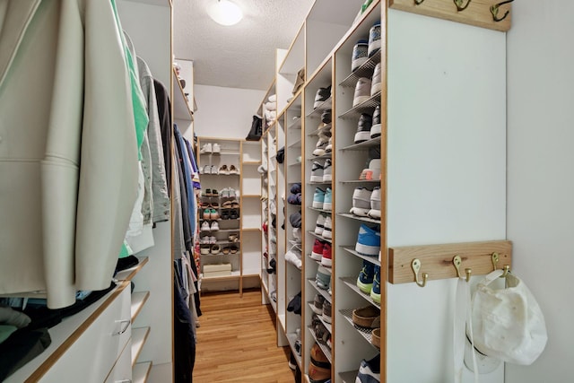 10933 Chowen Ave S, Bloomington, MN 55431 - spacious closet with light wood finished floors
