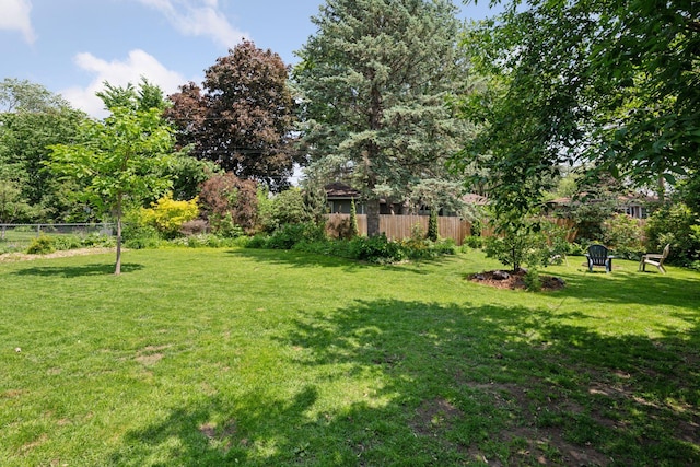 10933 Chowen Ave S, Bloomington, MN 55431 - view of yard