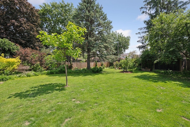 10933 Chowen Ave S, Bloomington, MN 55431 - view of yard