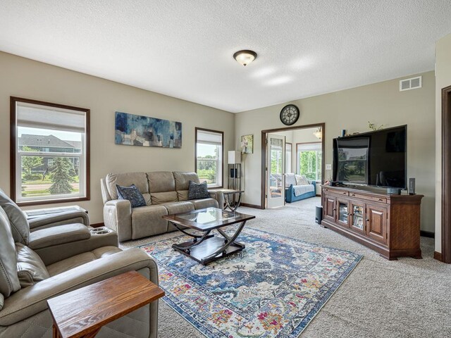 6024 158th St W, Apple Valley, MN 55124 - living room featuring carpet floors, baseboards, and a textured ceiling
