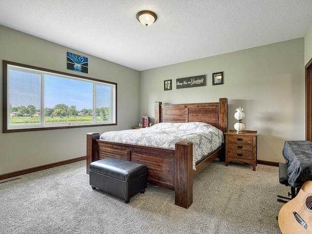 6024 158th St W, Apple Valley, MN 55124 - bedroom featuring carpet, baseboards, and a textured ceiling