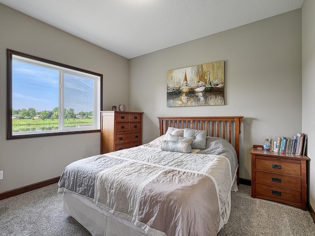 6024 158th St W, Apple Valley, MN 55124 - bedroom with carpet floors and baseboards
