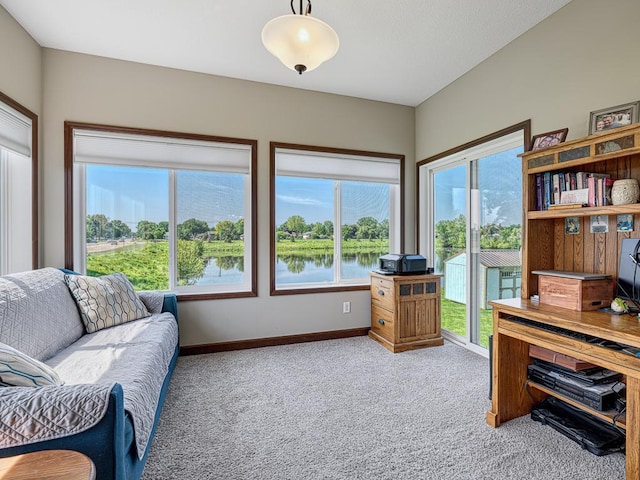 6024 158th St W, Apple Valley, MN 55124 - office area with carpet and baseboards