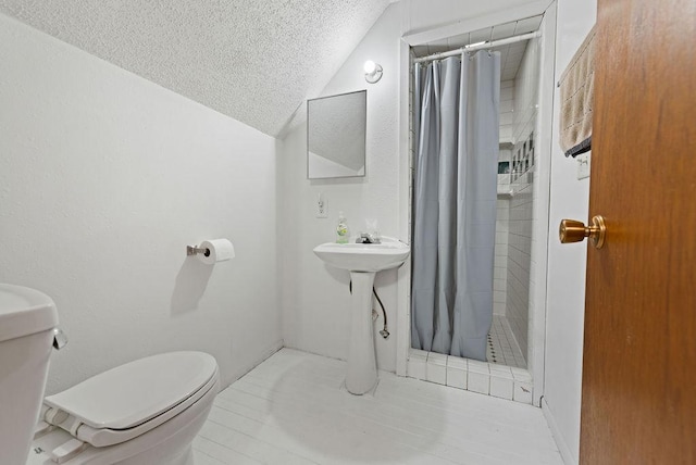 408 State St E, Grey Eagle, MN 56336 - full bath with toilet, a textured ceiling, a stall shower, and vaulted ceiling
