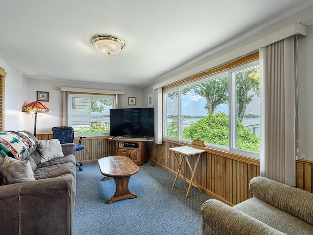 46427 Cambridge Dr, Stanchfield, MN 55080 - carpeted living area with a wainscoted wall and wood walls