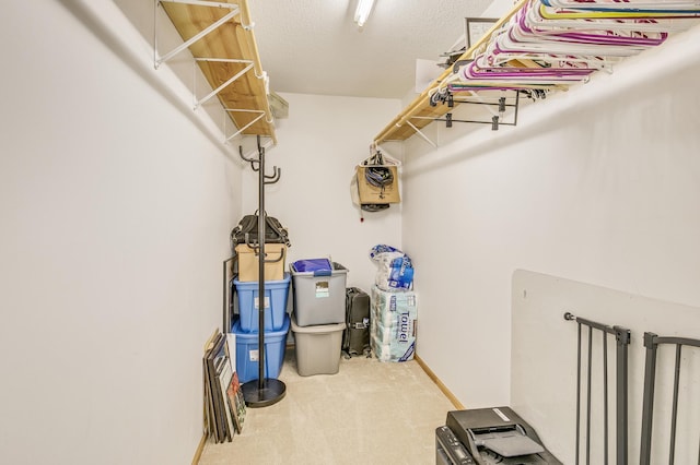 560 2nd St Unit 114, Minneapolis, MN 55401 - spacious closet featuring carpet flooring