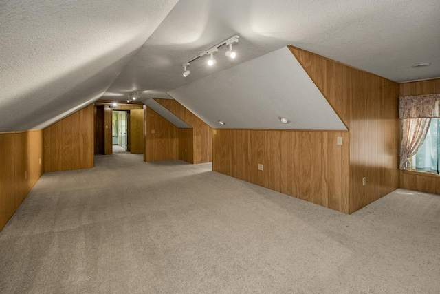 1700 Case Ave E, Saint Paul, MN 55106 - additional living space featuring wood walls, a textured ceiling, lofted ceiling, and light carpet