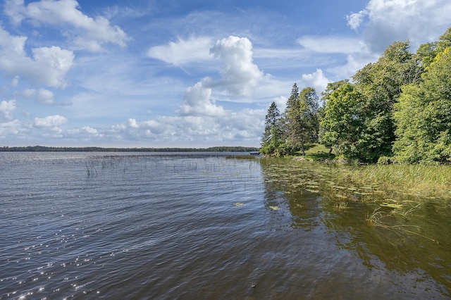 1409 Wabedo Pass Rd NE, Longville, MN 56655 - water view