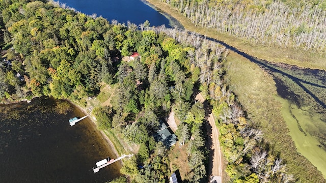 1409 Wabedo Pass Rd NE, Longville, MN 56655 - aerial overview of property's location with a nearby body of water and a forest