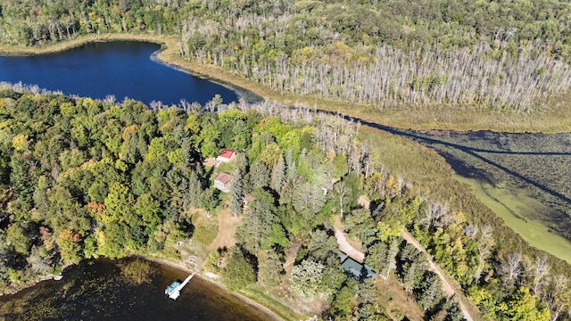 1409 Wabedo Pass Rd NE, Longville, MN 56655 - aerial view of property's location with a forest and a nearby body of water