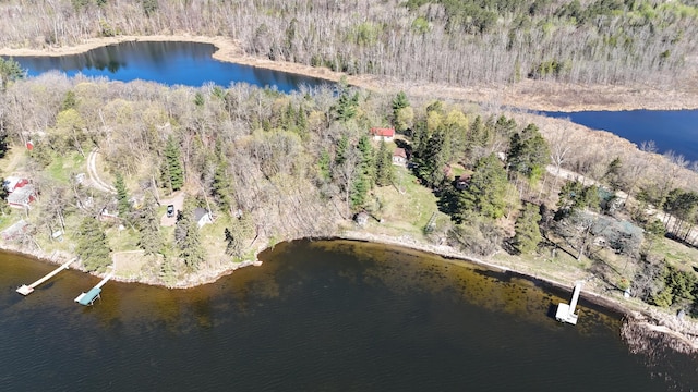 1409 Wabedo Pass Rd NE, Longville, MN 56655 - aerial view of property's location with a forest and a large body of water