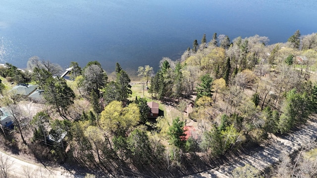 1409 Wabedo Pass Rd NE, Longville, MN 56655 - aerial view